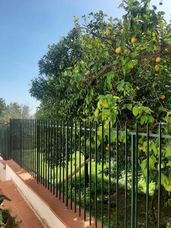 נאפולי Villa Vesuvius מראה חיצוני תמונה